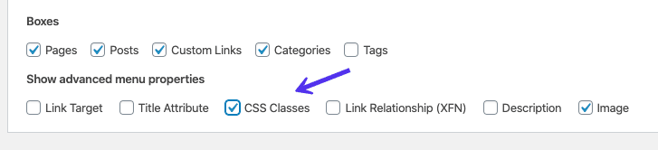 Hộp kiểm CSS Classes trong tab Tùy chọn màn hình